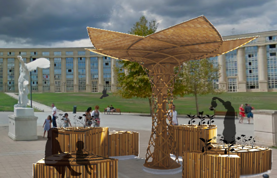 concours des hirondelles